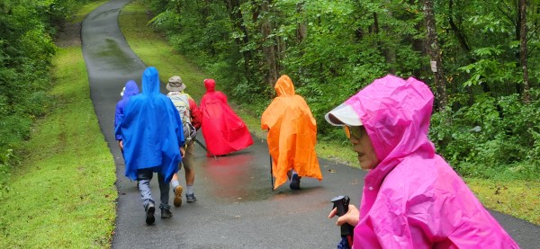 0b6dac6457ef976ef34c2f609e8bf2c7_1663598278_8604.jpg