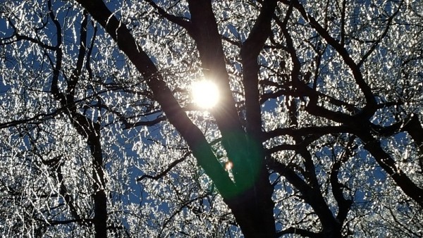 20160124_110129.jpg