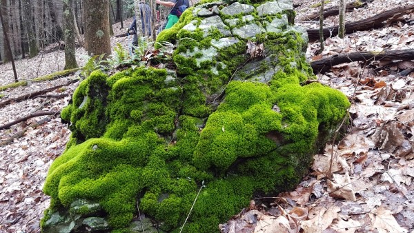 20160313_124011.jpg