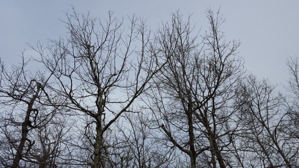 20160410_112422.jpg