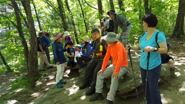 20160515_152044.jpg