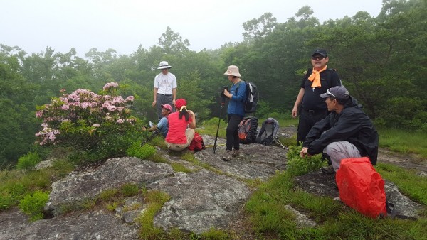 20160605_113234.jpg