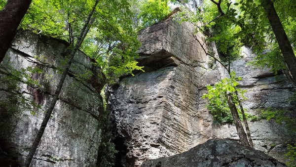 20160619_112957.jpg
