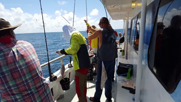 20160703_103251.jpg