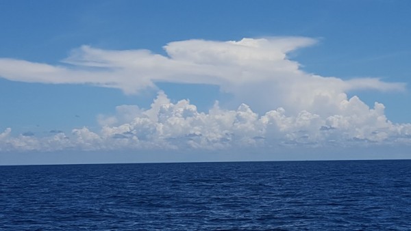 20160703_120226.jpg