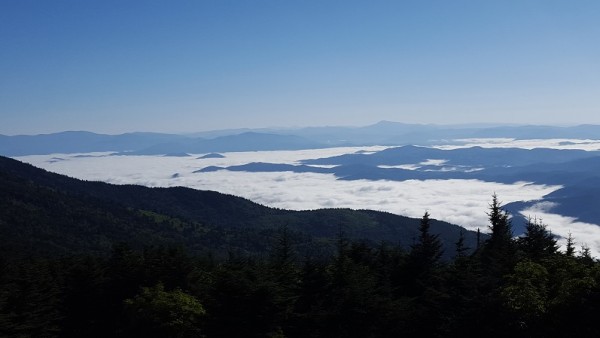 20160717_084108.jpg