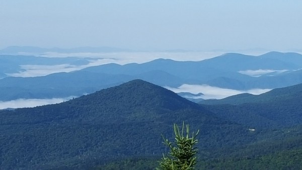 20160717_084422.jpg