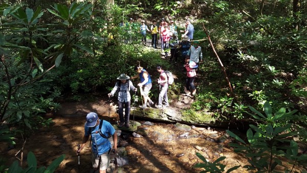 20160731_103131.jpg