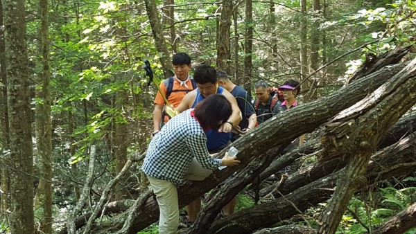 20160731_105016.jpg