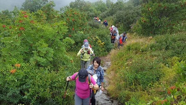 20160821_111004.jpg