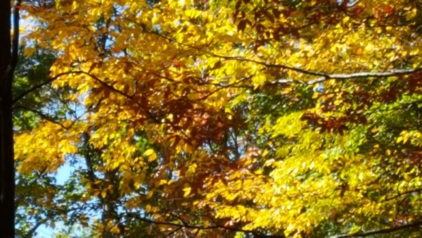 20161023_111858.jpg