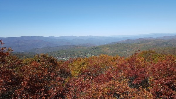 20161023_130823.jpg