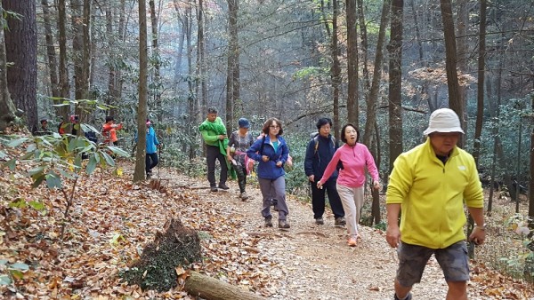 20161030_092617.jpg