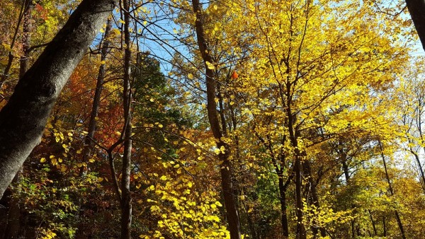 20161030_104357.jpg