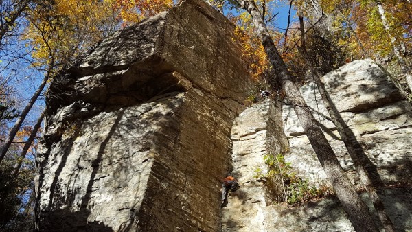 20161030_104456.jpg