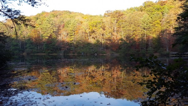 20161106_075442.jpg