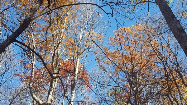 20161120_10083528029.jpg