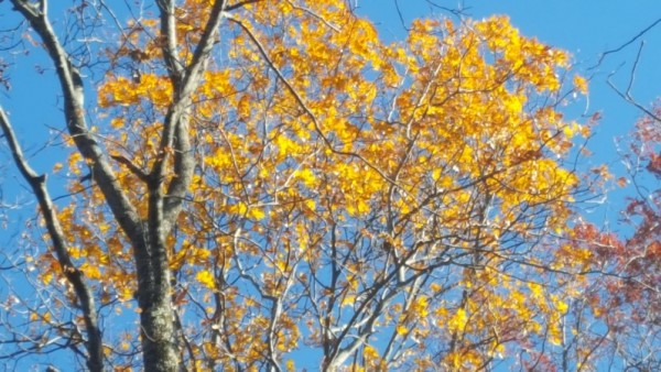20161120_100917.jpg