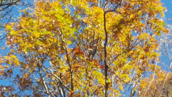20161120_101046.jpg