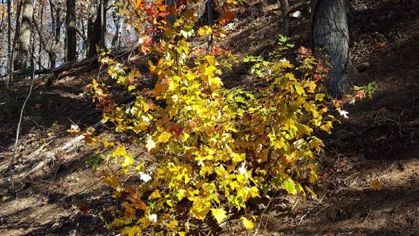 20161120_140755.jpg