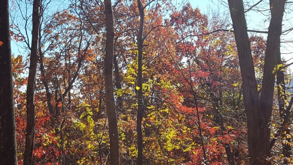 20161120_142821.jpg