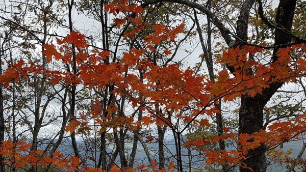 20171022_142815.jpg