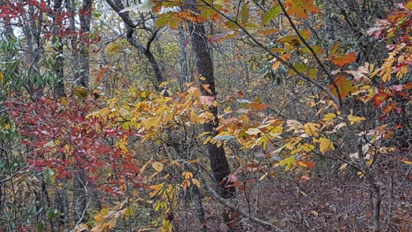 20171022_143231.jpg