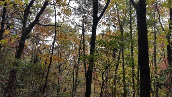 20171029_101334.jpg