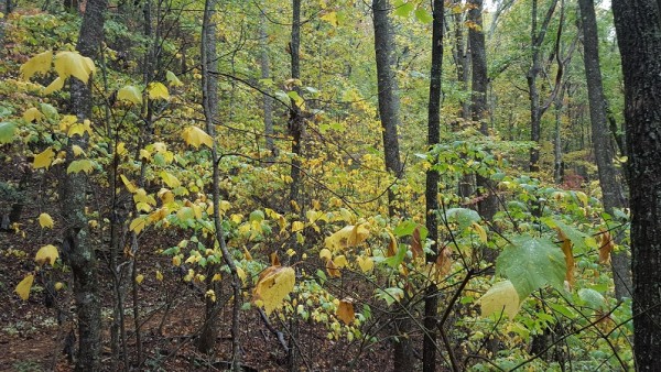 20171029_101444.jpg