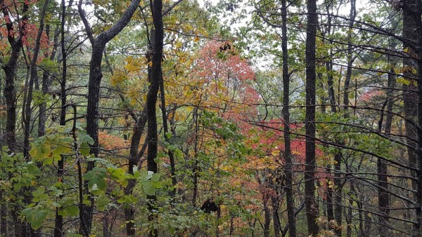 20171029_102202.jpg