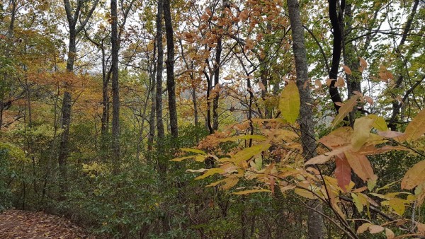 20171029_104624.jpg