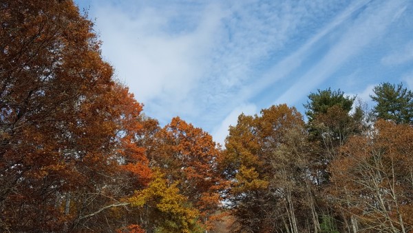 20171105_102543.jpg
