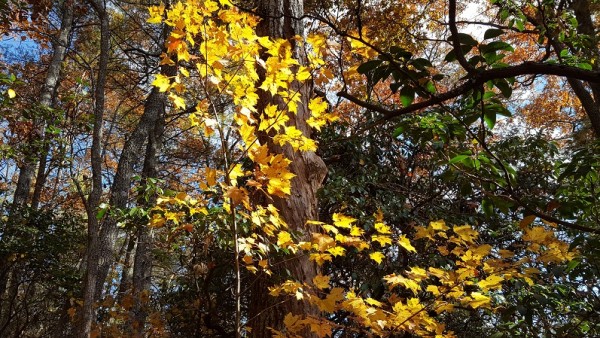 20171105_110527.jpg