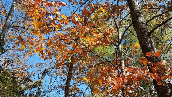 20171105_110637.jpg