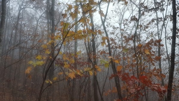 20171112_142050.jpg