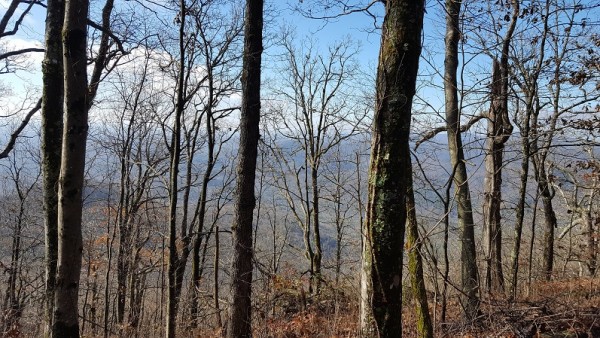 20171119_102010.jpg