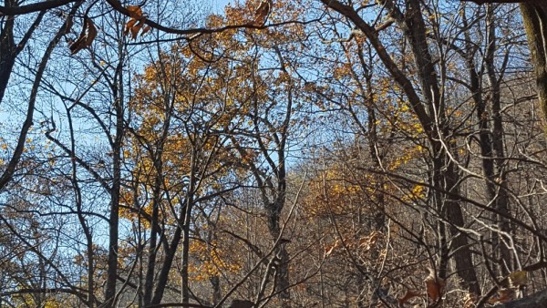 20171119_145649.jpg