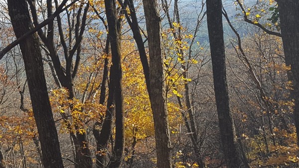 20171119_155428.jpg