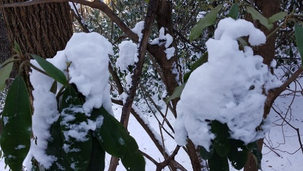 20171210_140812.jpg