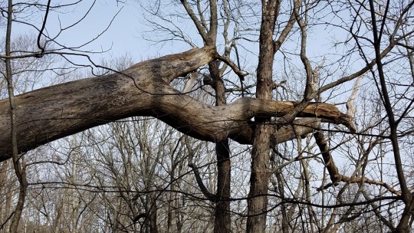 20180107_103458.jpg