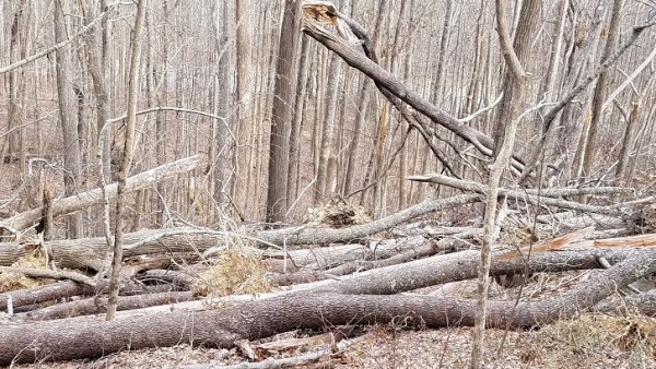 20180107_140822.jpg