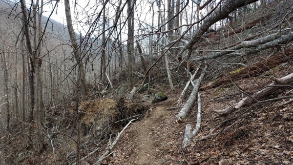 20180107_140932.jpg