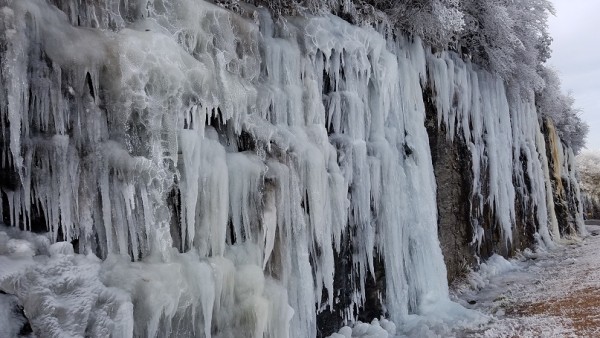 20180114_100246.jpg