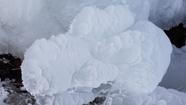 20180114_100352.jpg