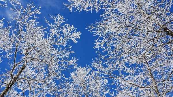 20180114_124738.jpg