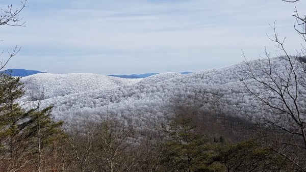 20180114_124845.jpg