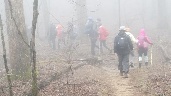 20180325_132742.jpg