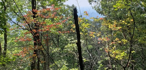 20180909_125945.jpg