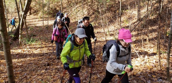 20181111_095733.jpg