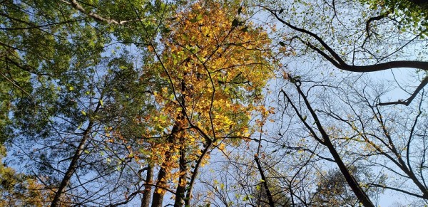20201101_104236.jpg